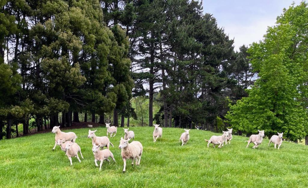Karamu Homestead Buitenkant foto
